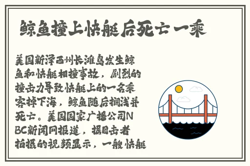 欠c的玩意sb就是用来c的h